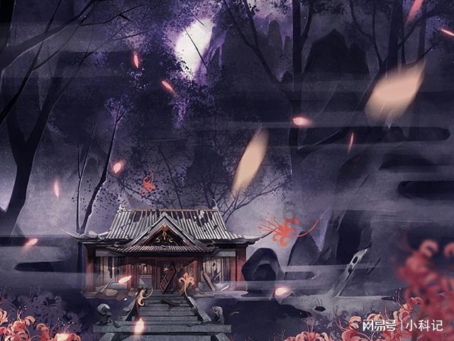 忍者鲨鱼