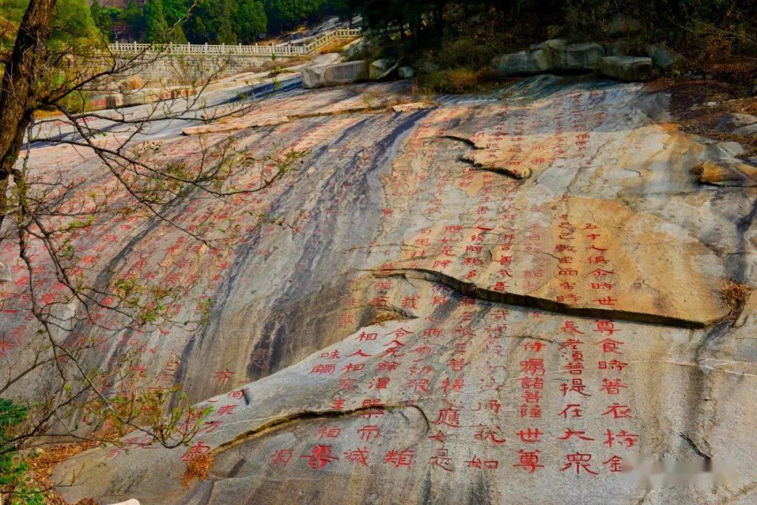 北京哪个医院看21三体综合症比较好？游戏画面