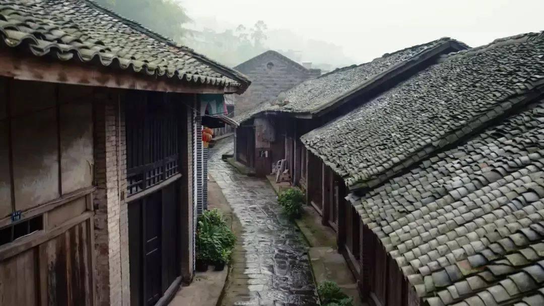 Twins组合成员蔡卓妍晒照为钟欣潼庆生，姐妹情深！